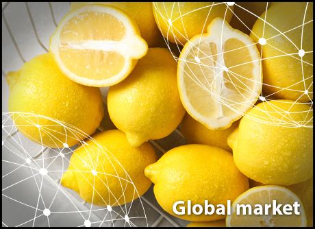 lemoncam israel|Israel Fresh Lemon market overview 2022 .